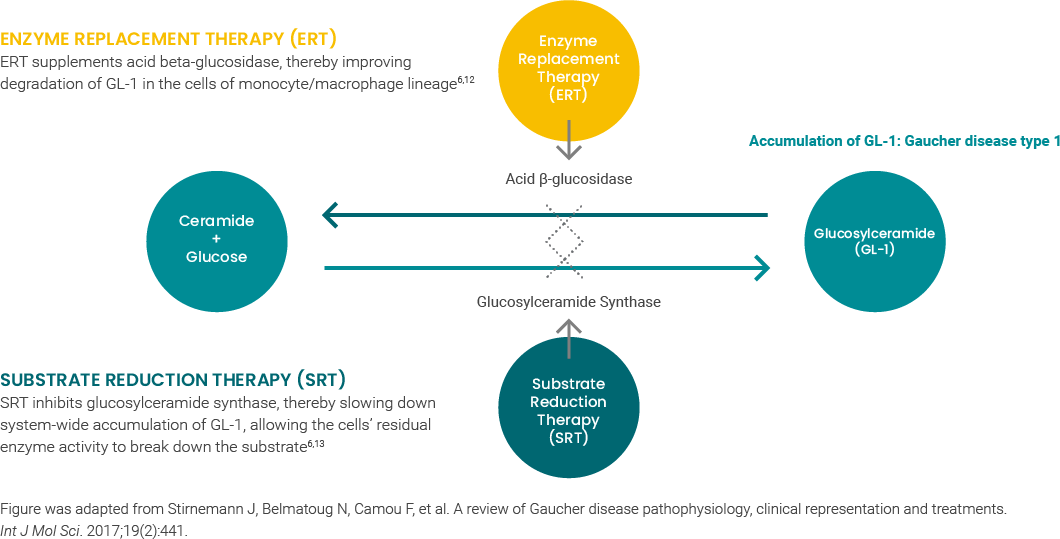 Enzyme replacement therapy, substrate reduction therapy